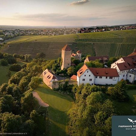 Neues Zimmerapartment Mit Bad Neckarwestheim Екстериор снимка